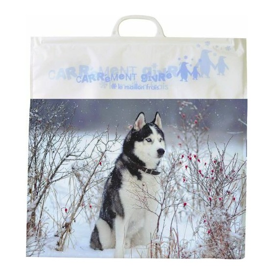 SAC ISOTHERME HUSKY/MANCHOT PEBD - 50X50 CM + POIGNEE PE